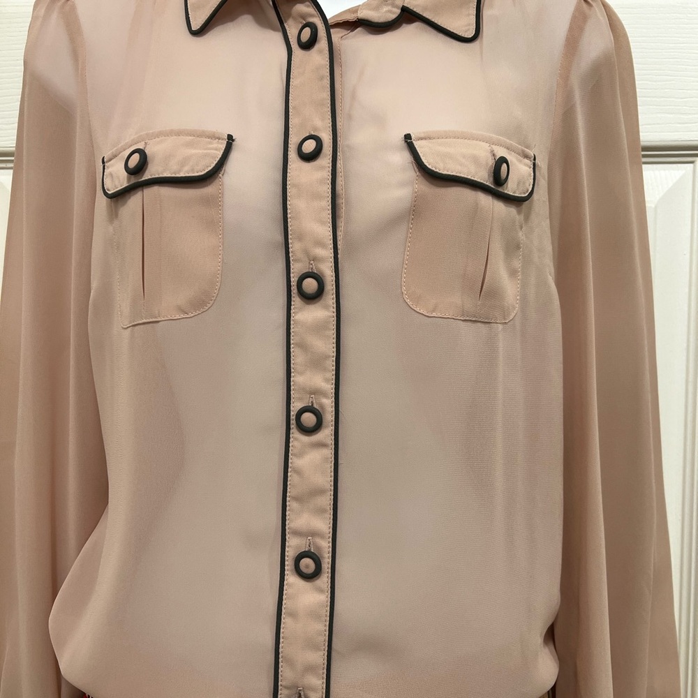 Zara sheer blouse